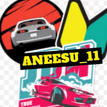 aneesu_11