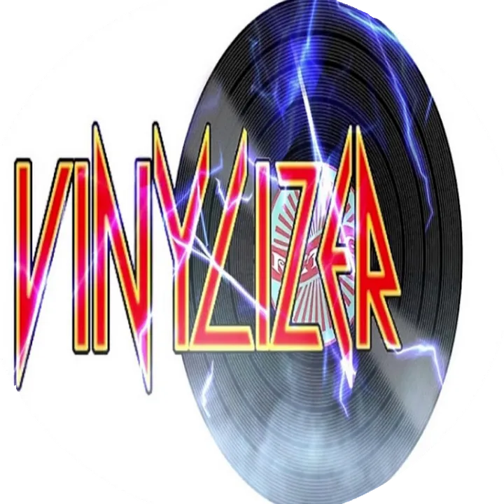 vinylizer2