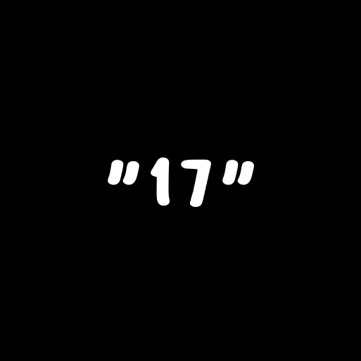 .seventeen__
