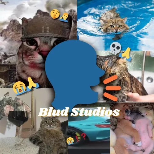 bludstudios