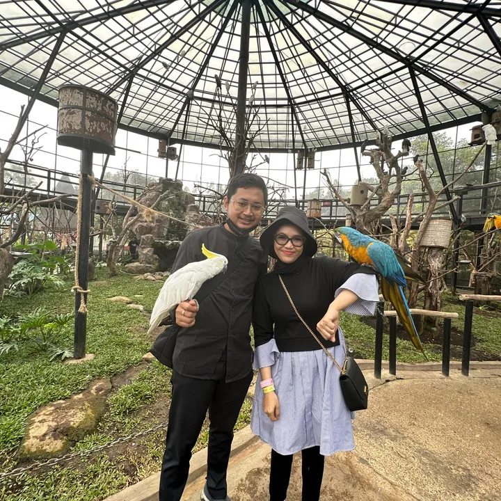 @dhewaira