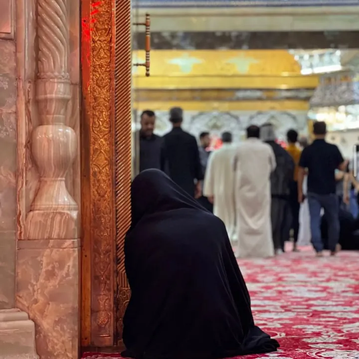 zainabkhan3131
