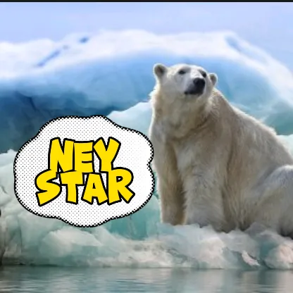 neysstar