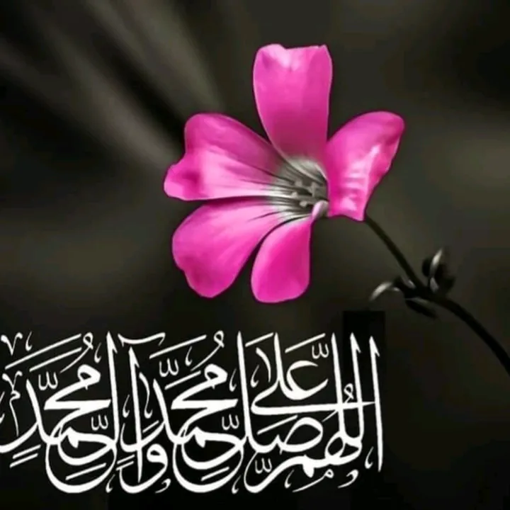 shahidatajammal44