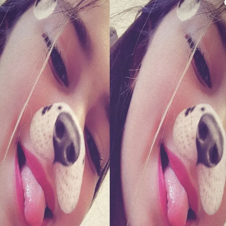 @rojhalat.ahmad