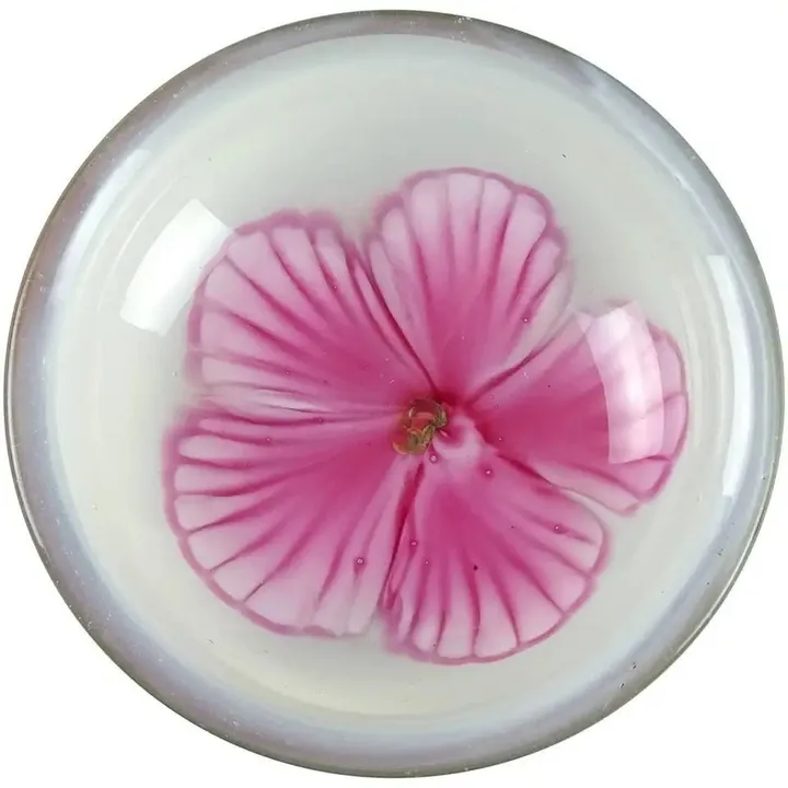 coconutmilk959