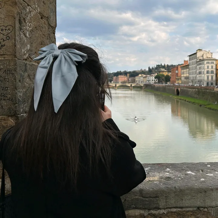 sofia.dslv_