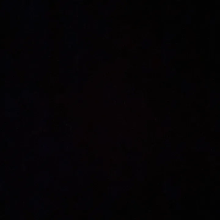 mollystiktokshop
