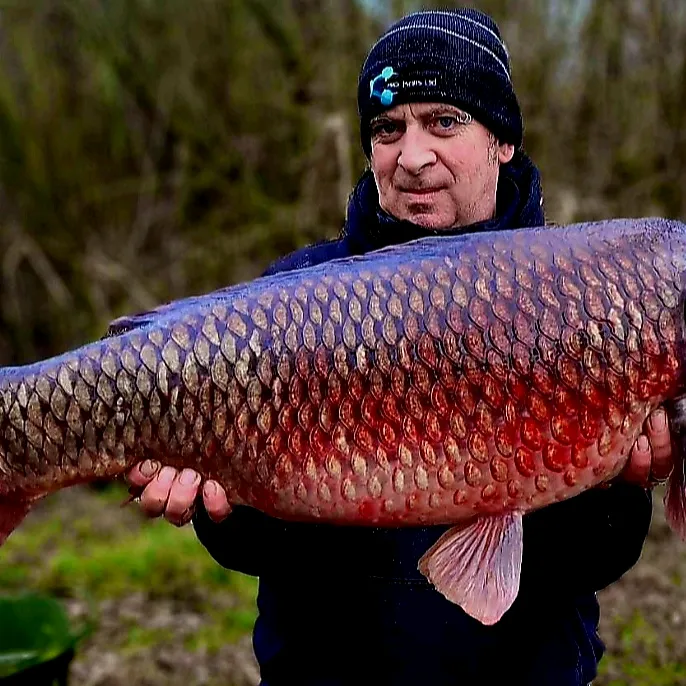 biobaitsltd