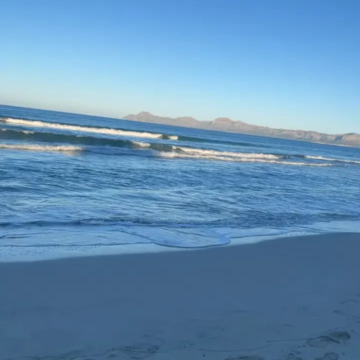 @filmsbyrose_