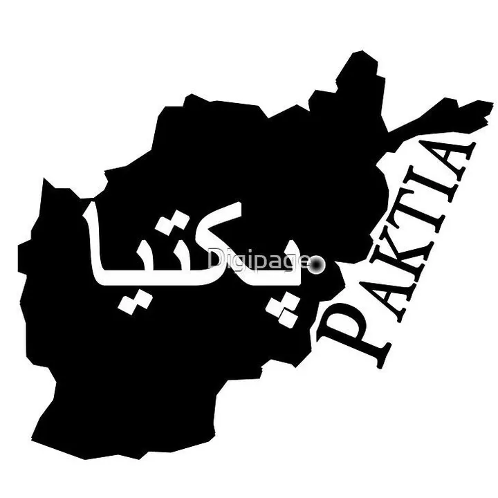 paktiawal.m