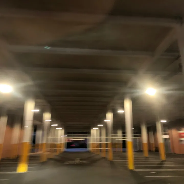 dollyxqz456