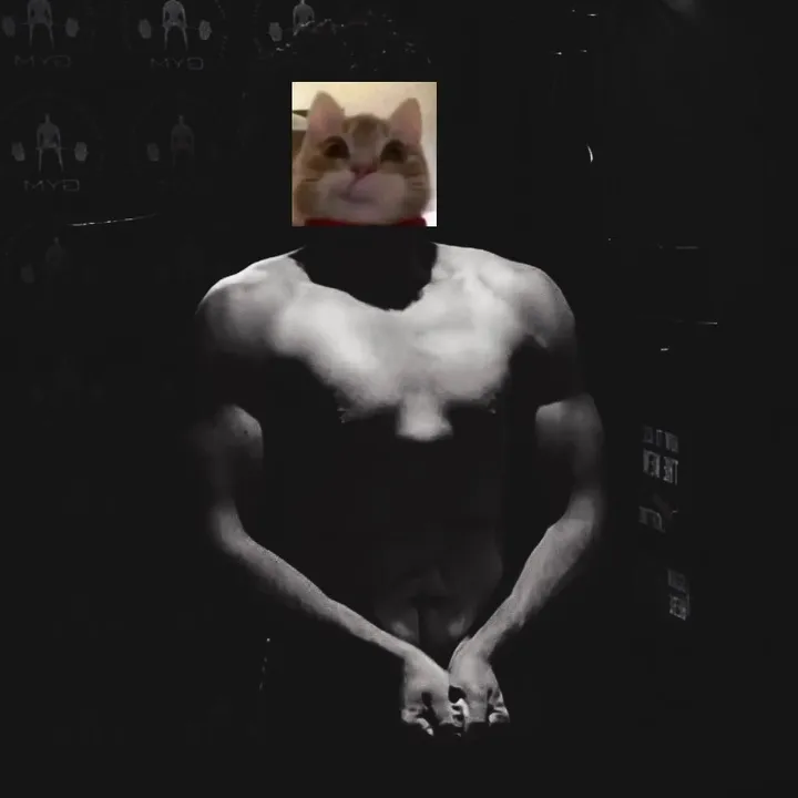 not_shreddedyet
