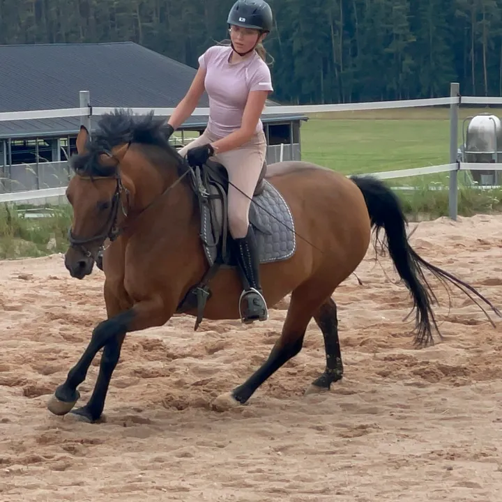 horse_fish2