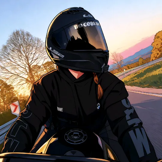 pia.cbr600rr