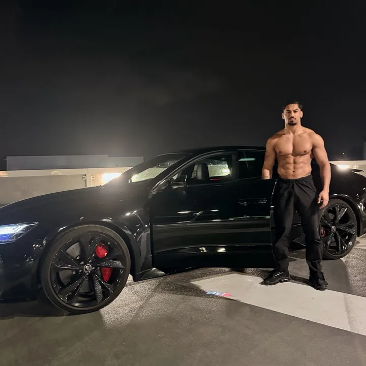 aceshredded