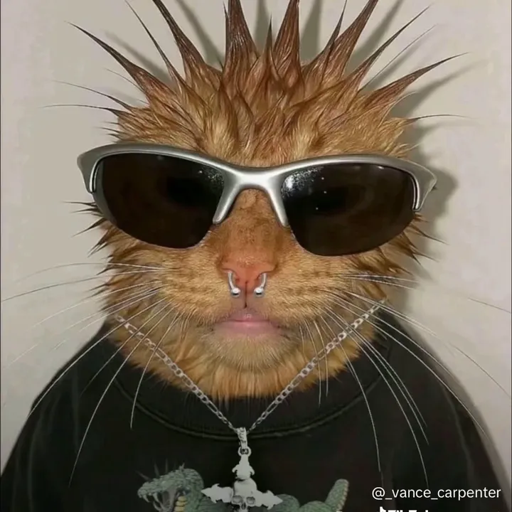 sternburgrotbiszumtod