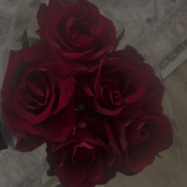 𝓒𝓮𝓵𝓲𝓷𝓪 - original sound