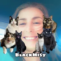blackmisy