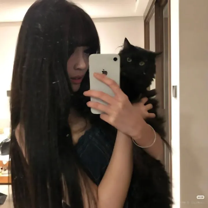 @ceo.of.tiktok81