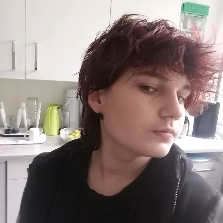 @raythedinosauce