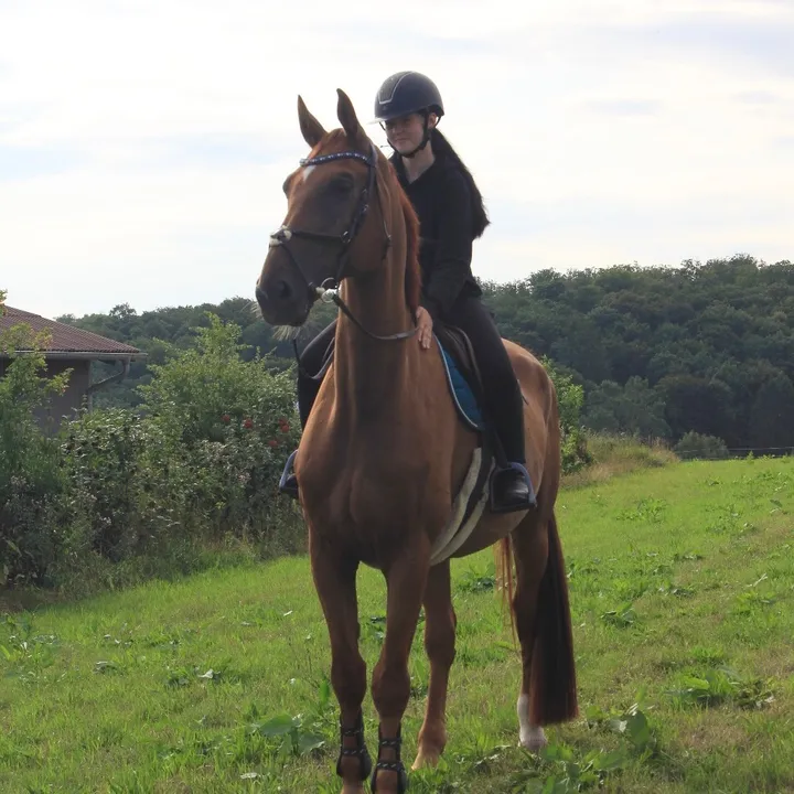 @annalisa.equestrian