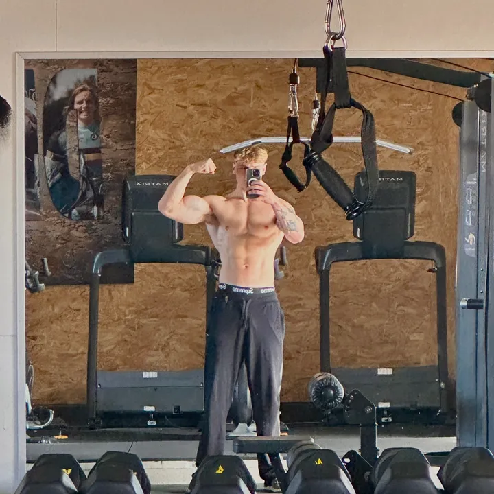 @tibolone