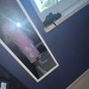 leo.77158