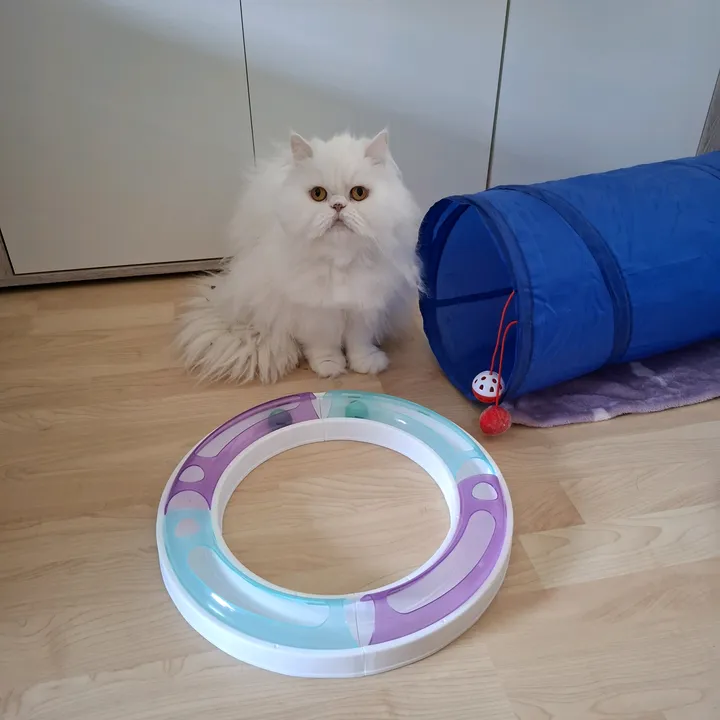svenja_20_