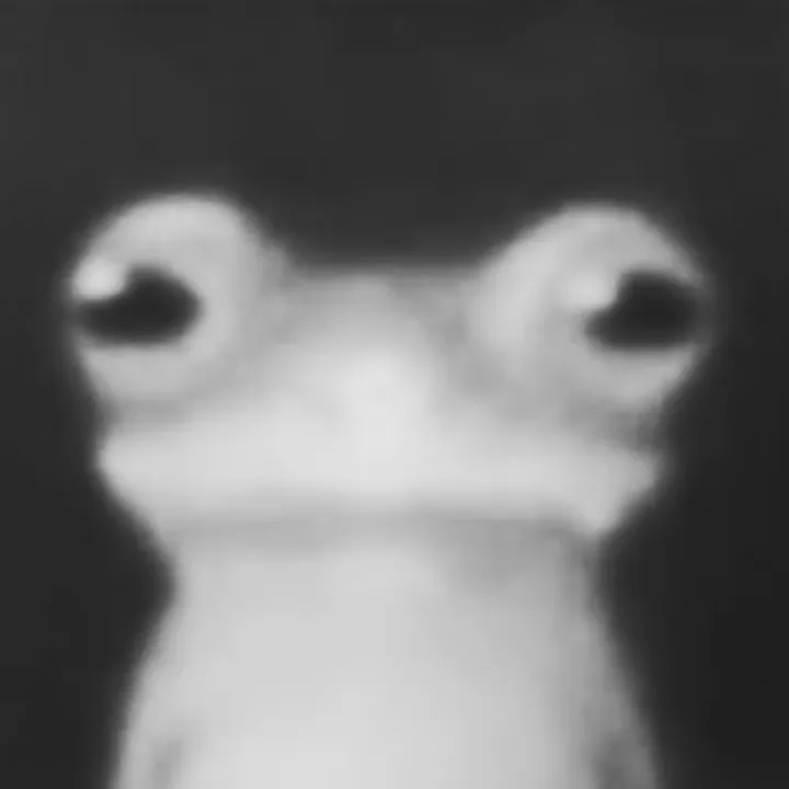 llenashh