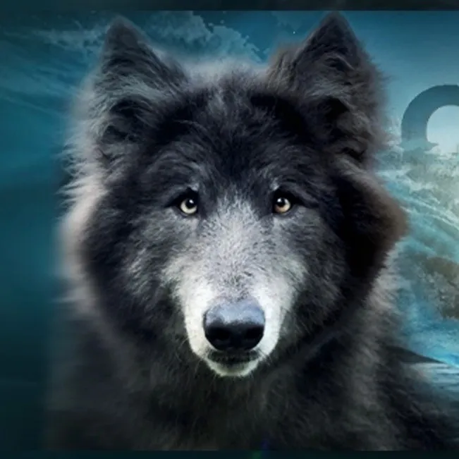 mybluewolf_