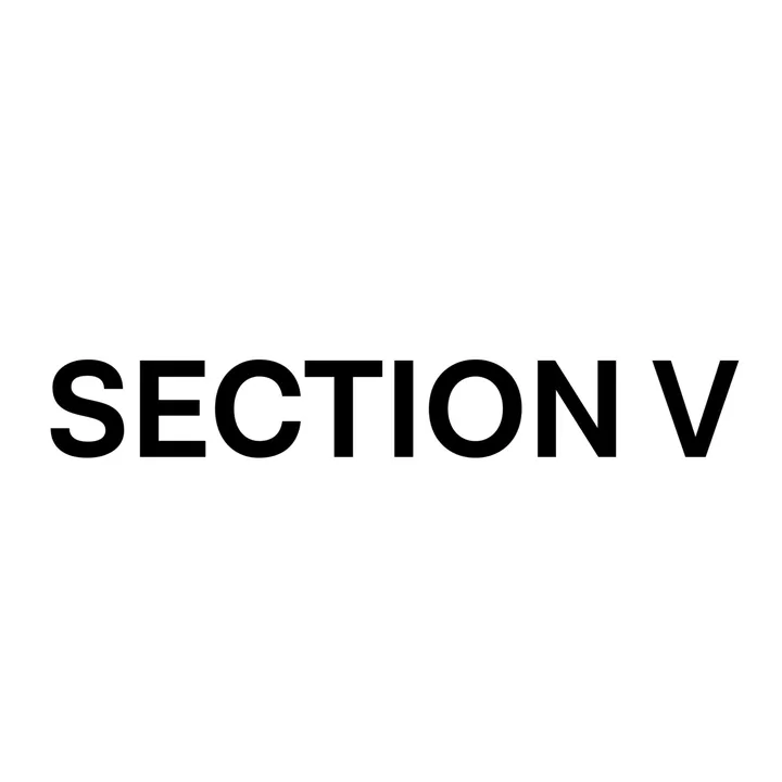 section.v