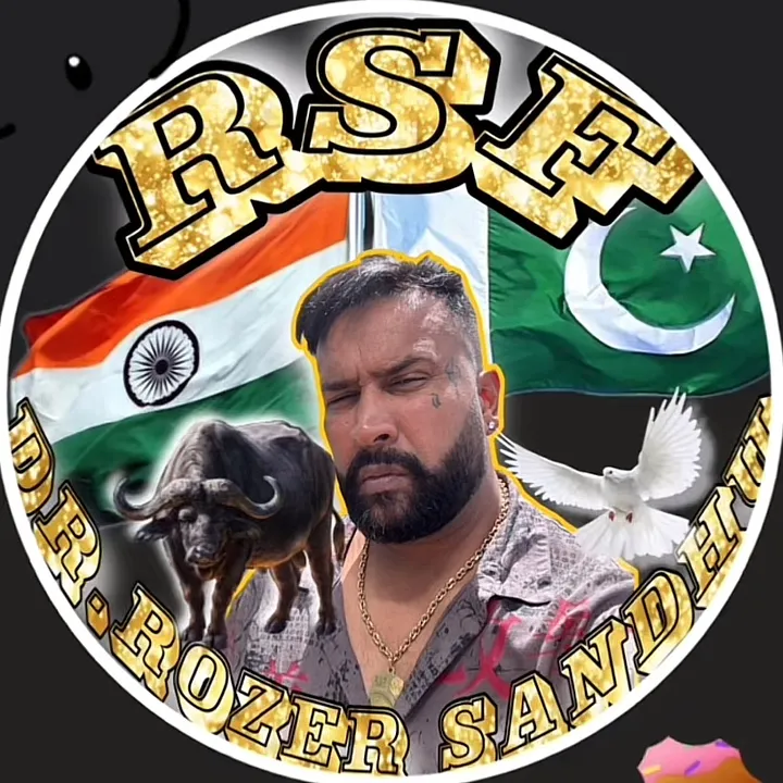 @kargusbaljindersi
