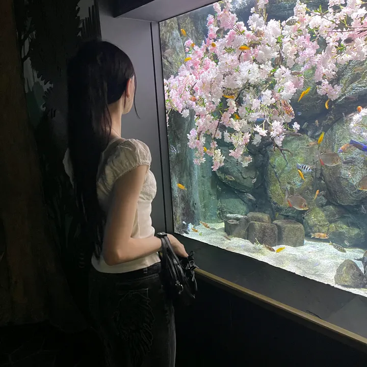 blossomwhisper0