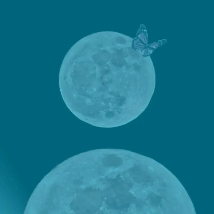 rim15360