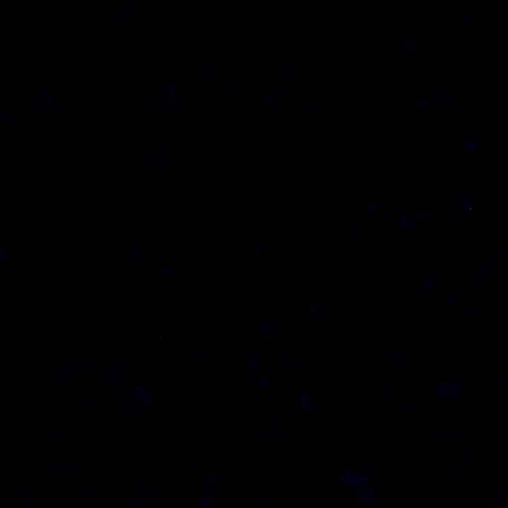 rdqyzx1