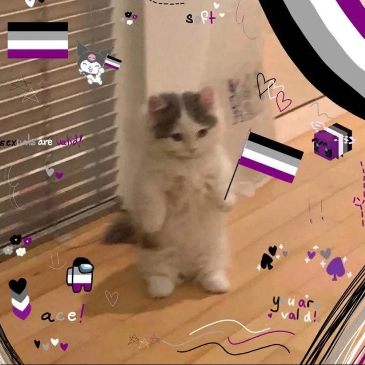 asexualbarbie