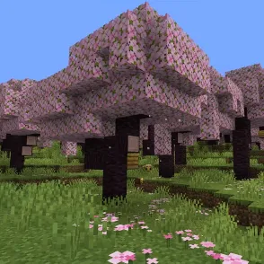 @miinecraft_tiktok