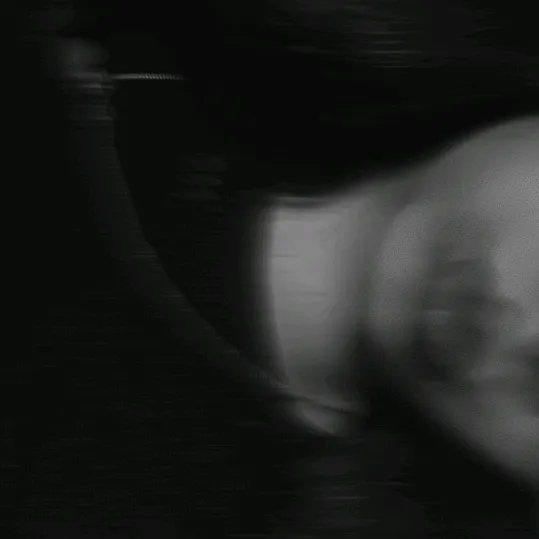 dizzy._ok