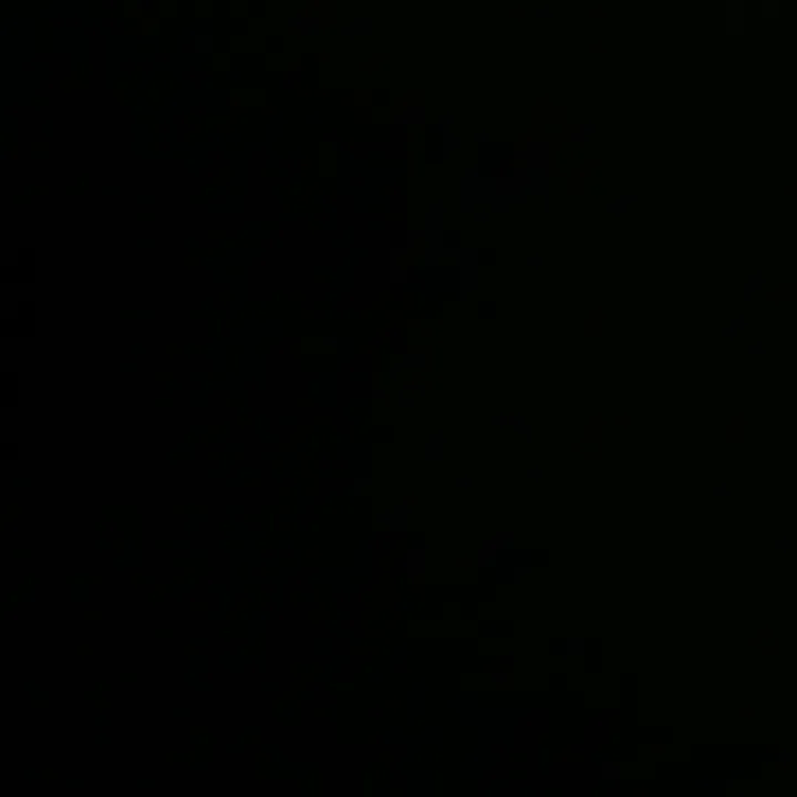 dein_dunyaa