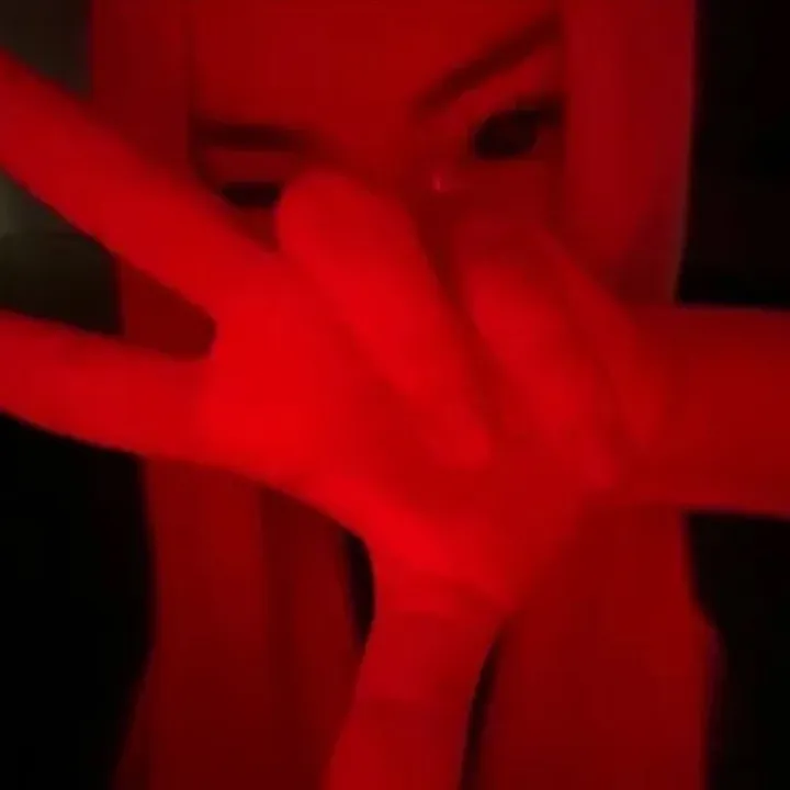 @dino_123561