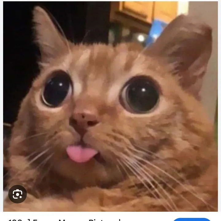 tracydealsdaily