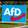aliceweidel_afd4578