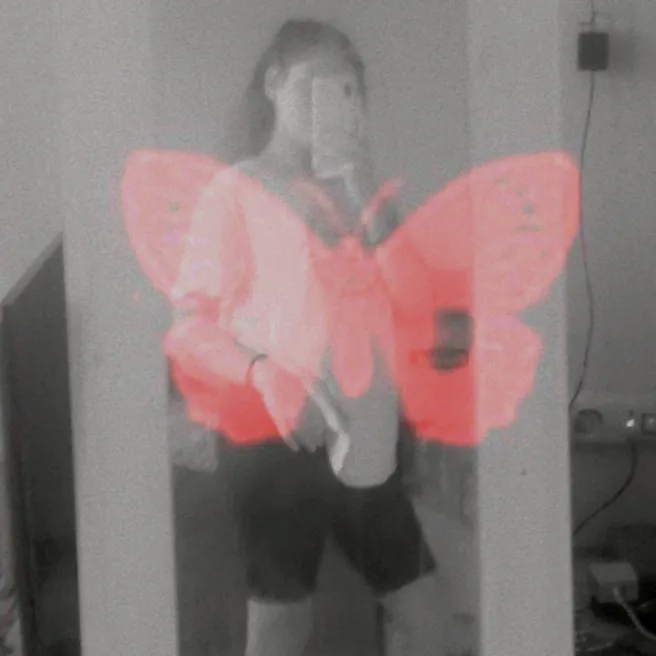 alienxy.1