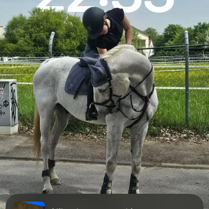 equestrianrosner_offical