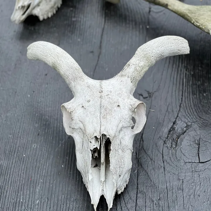 vikingcrafts_by_ulven