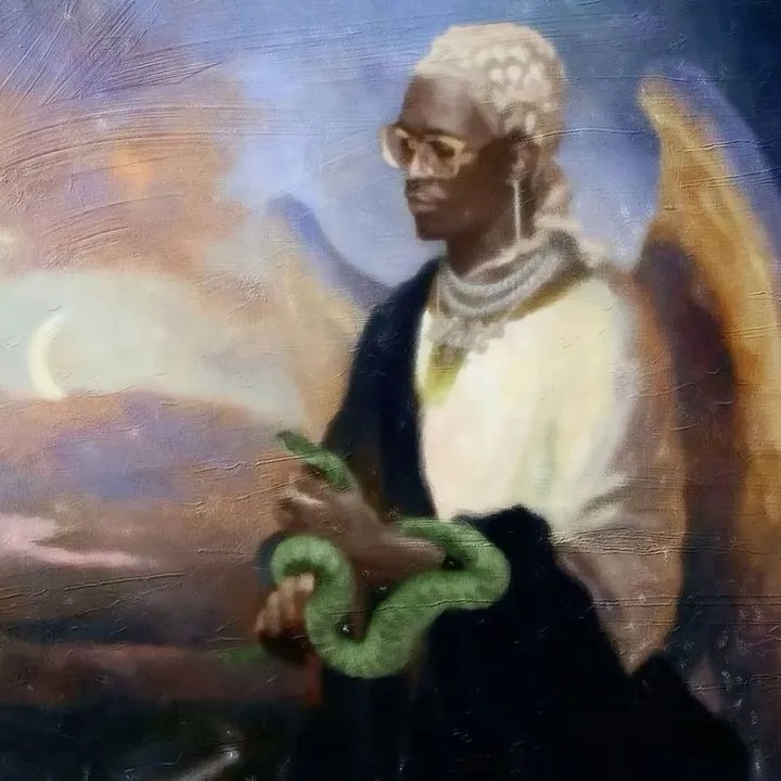 lilvixxer