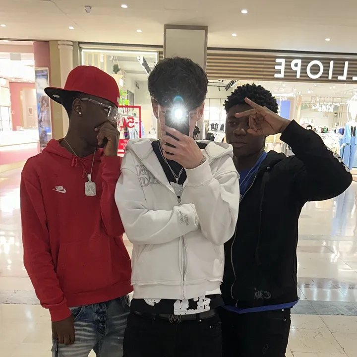 _flexinalan_
