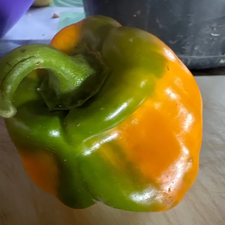 chicoetsonjardin3