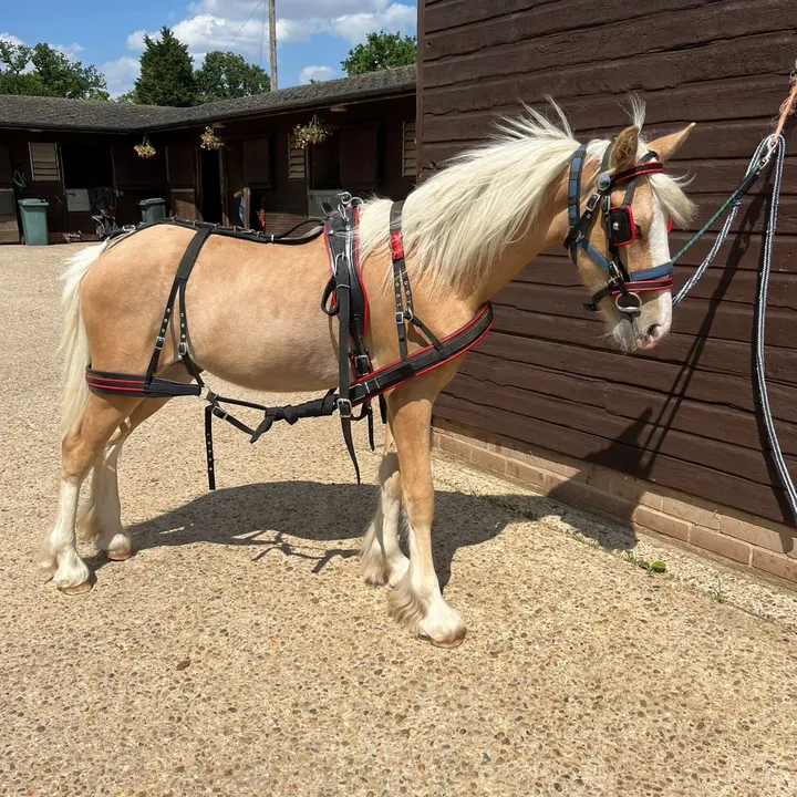 eastendfarm_london